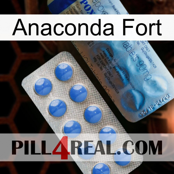 Anaconda Strong 40